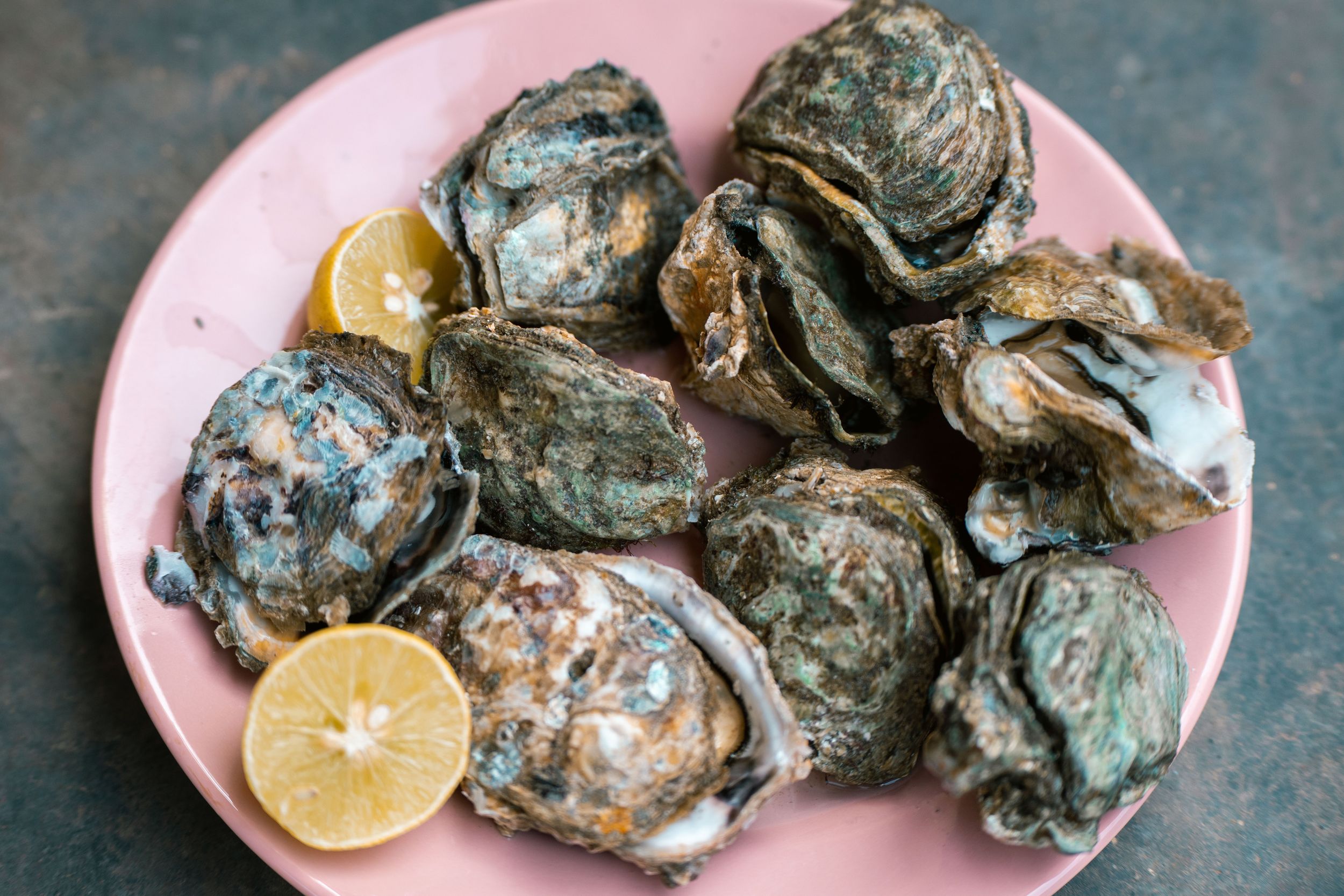 A plate of fresh oysters.
